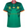 Original Fußballtrikot Kamerun Heimtrikot WM 2022 Für Herren